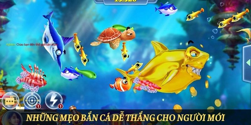 Những mẹo bắn cá dễ thắng cho người mới